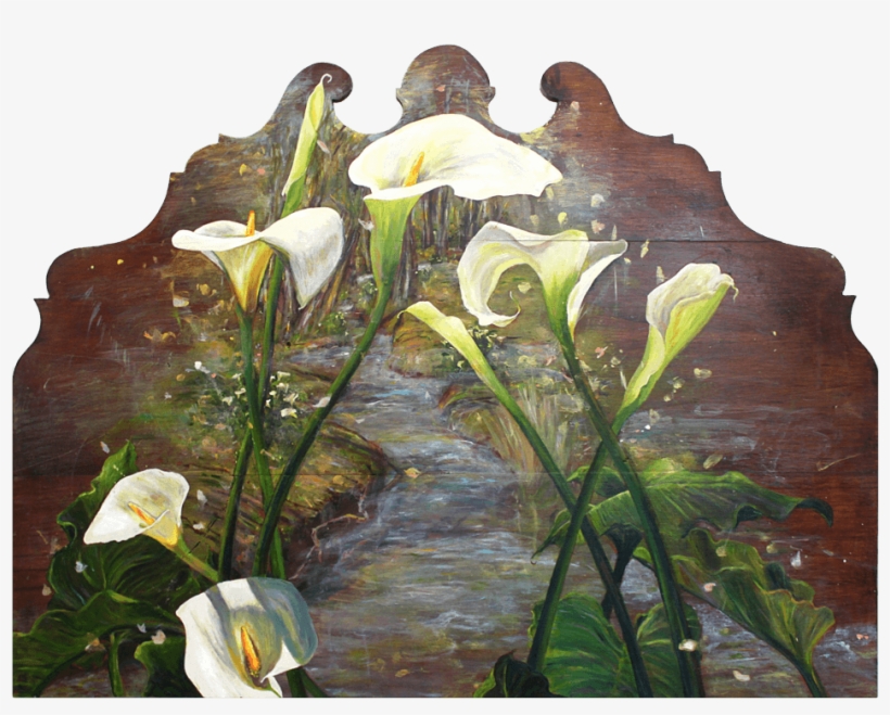 Bed - Giant White Arum Lily, transparent png download