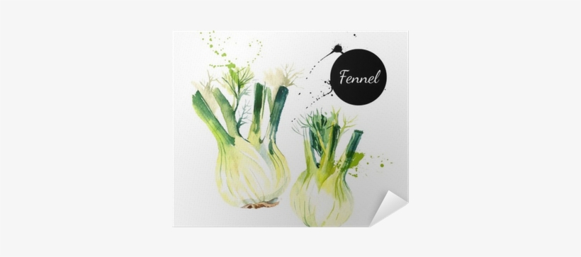 Kitchen Herbs And Spices Banner - Fenchel Gezeichnet, transparent png download