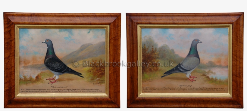Estwood Lady' Blue Hen & 'eastwood Dianne' Blue Cheq - Picture Frame, transparent png download