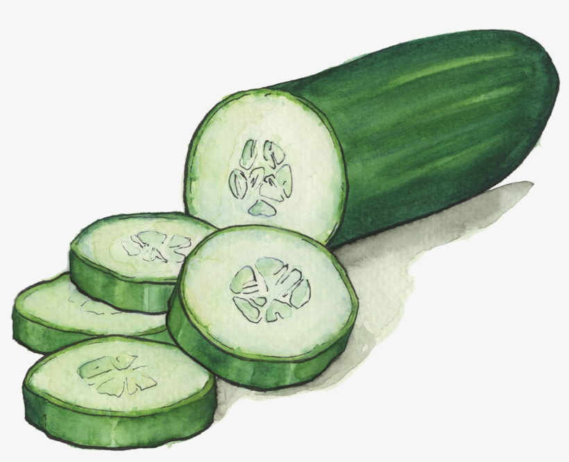 Cucumbers - Cucumber Transparent, transparent png download