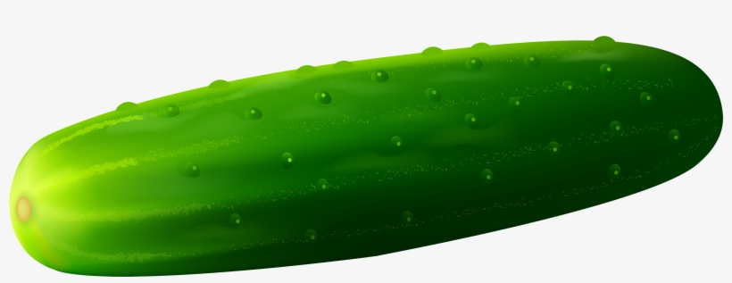 Cucumber Png Clipart - Cucumber Clipart, transparent png download