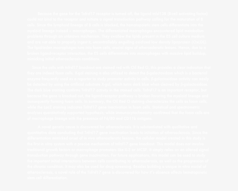 Document, transparent png download