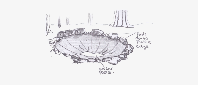 Dew Traps Can Be Created By Digging A Hole In The Ground - Water, transparent png download