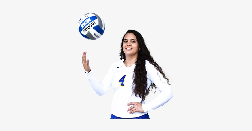 Volleyball, transparent png download