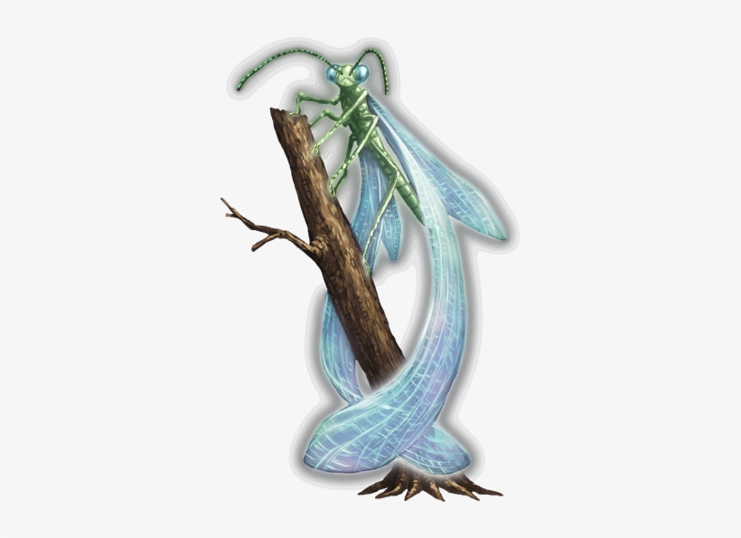 Firefly - Illustration, transparent png download