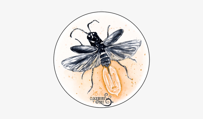 Dragonflies - 2016, transparent png download