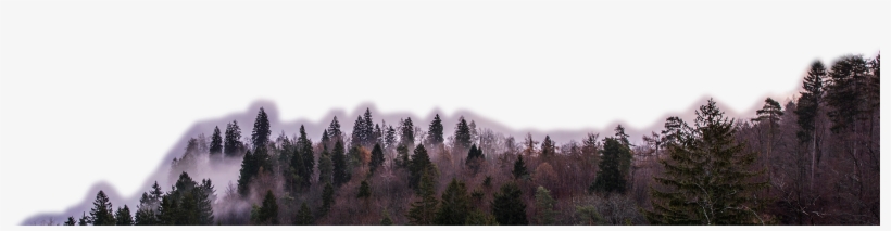 Level1 - Best Png Special Effects, transparent png download