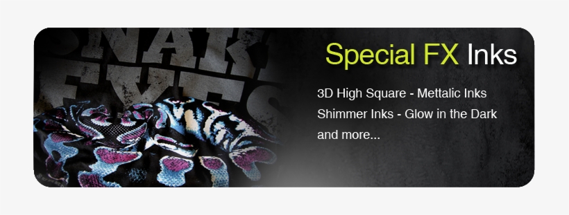 King Snakes, transparent png download