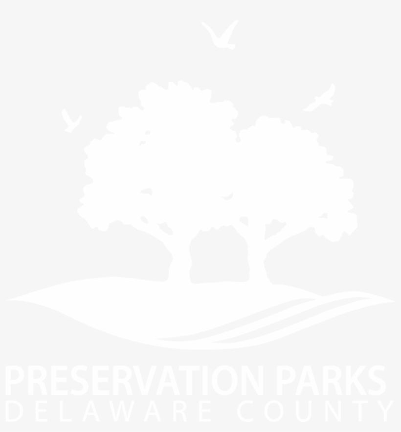 Program Calendar - Graphic Design, transparent png download
