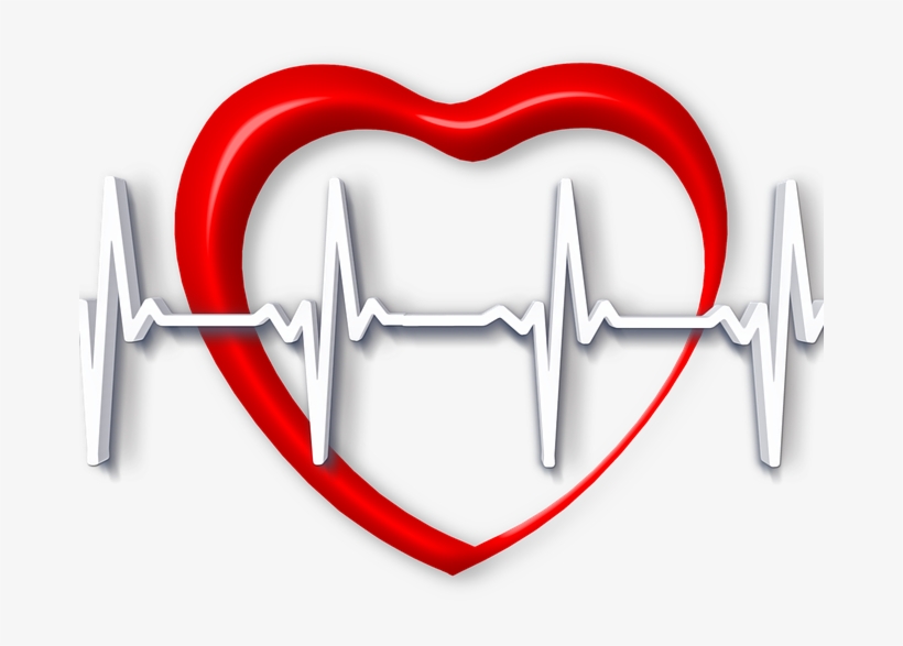 Speed Of Heart Rate Recovery May Help To Predict Mortality - Taquicardia Png, transparent png download
