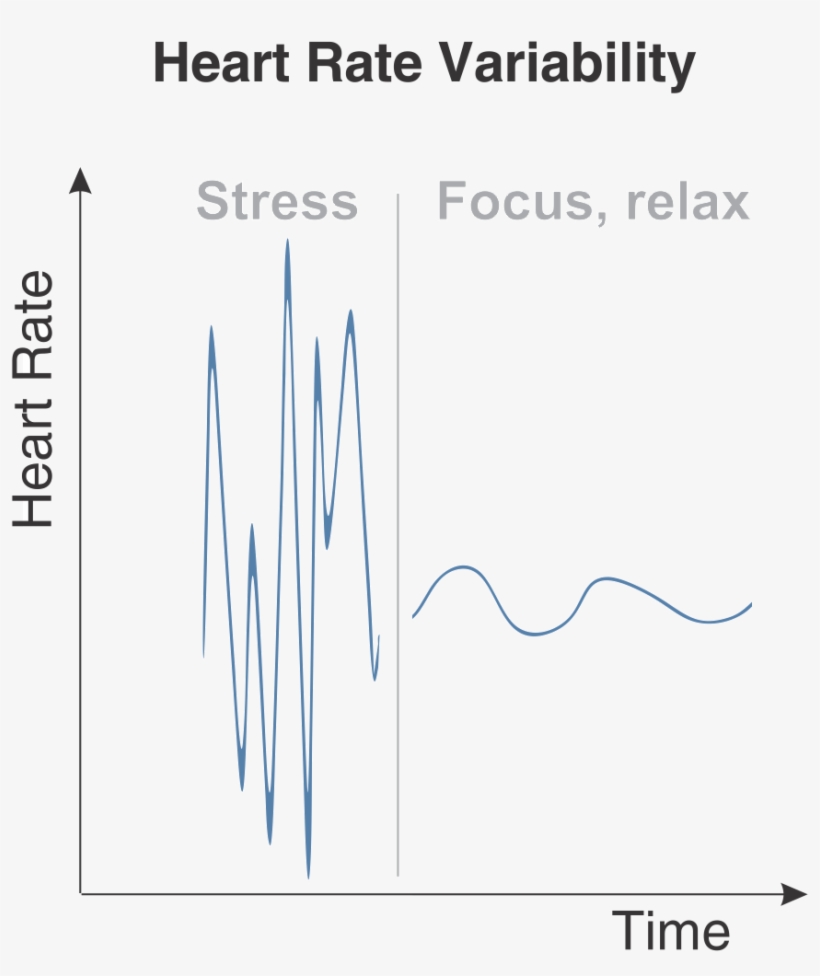Heart Rate Variability Hrv - Calligraphy, transparent png download