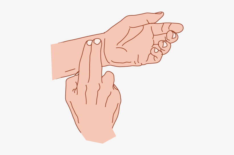 To Determine How Hard You Should Be Exercising You - Taking Heart Rate, transparent png download
