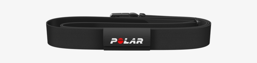 New Polar Equine V650 Trotting, transparent png download