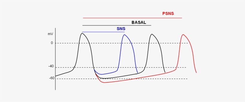 Diagram, transparent png download