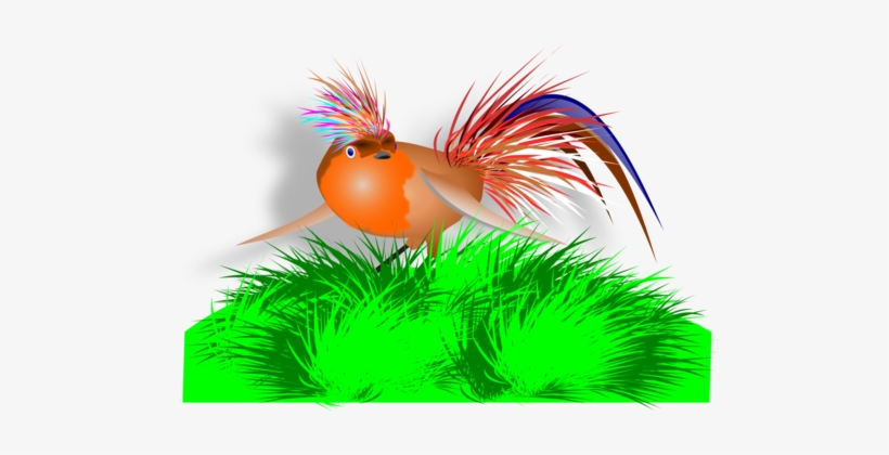 Hummingbird Chicken Water Bird Computer Icons - Clip Art, transparent png download