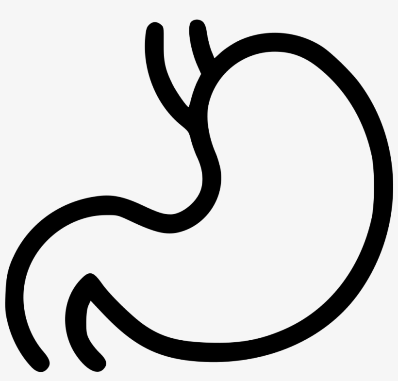 Digestion Stomach Getroenterology Organ Healthcare - Organs Icon Black And White Png, transparent png download