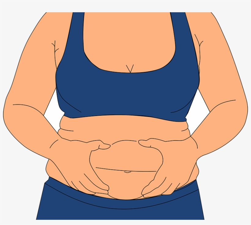 Other Plexus Weight Loss Products - Fat Body Transparent, transparent png download