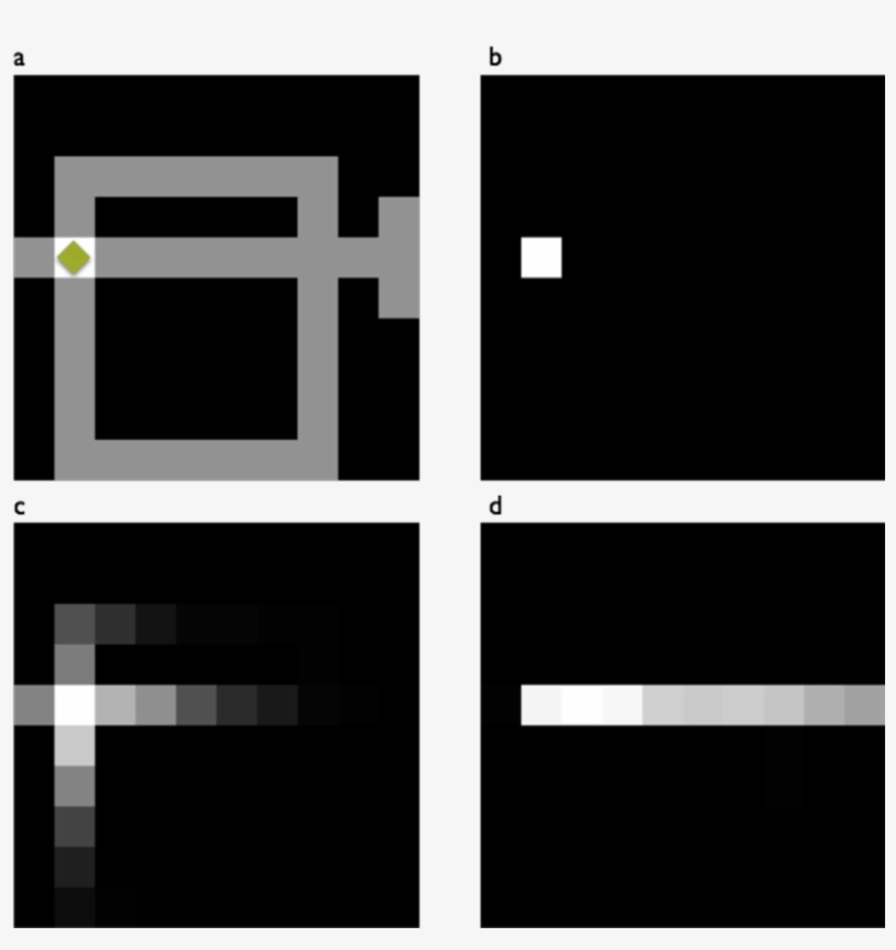 Example State Representations. A) Agent Position (diamond), transparent png download