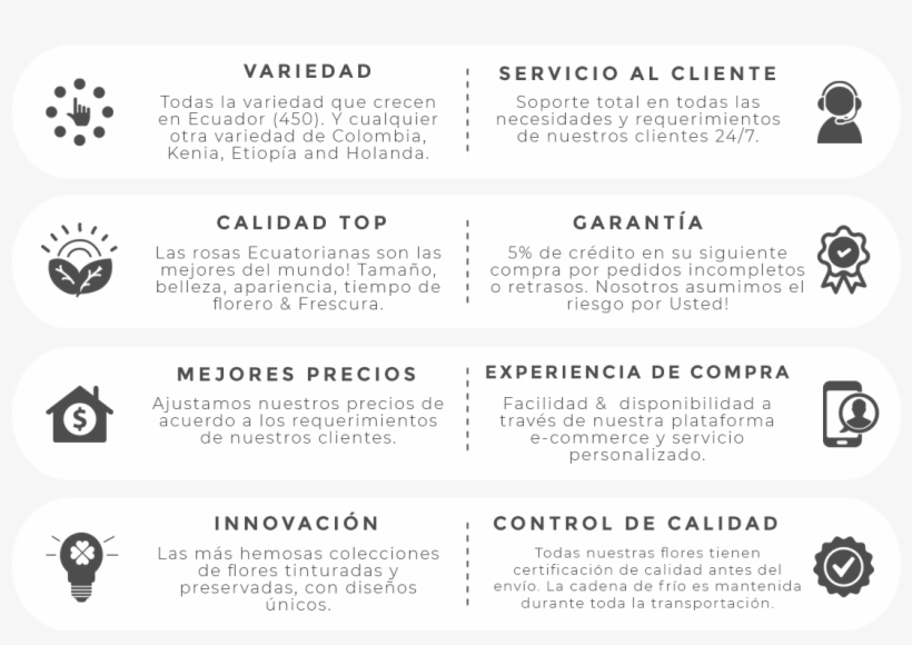 Brand Promise Español, transparent png download