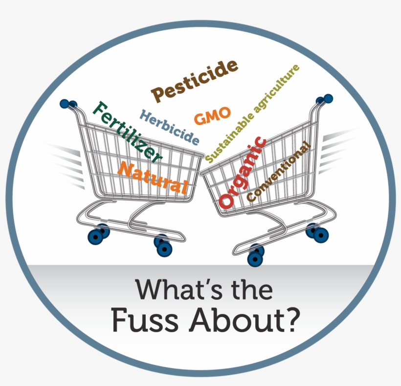 If You Are Interested In Attending, Click Here To Register, transparent png download