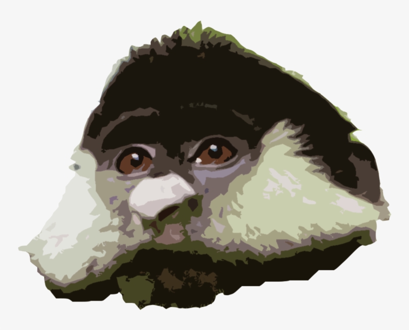 Rtface, transparent png download