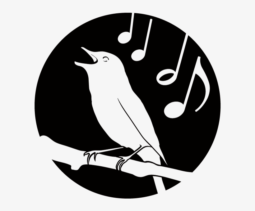 Nightingale Oboe Reeds 0 Nightingale Oboe Reeds, transparent png download