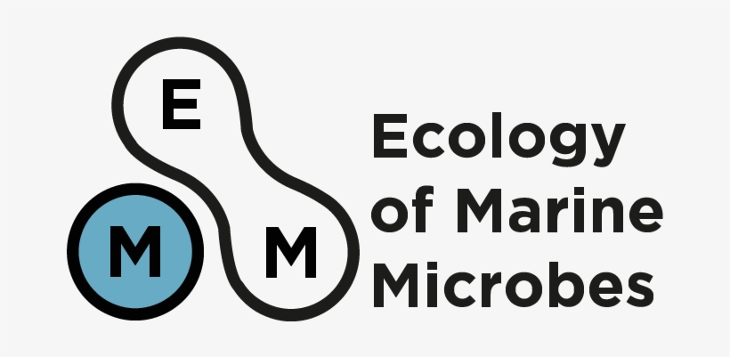 Emm, transparent png download