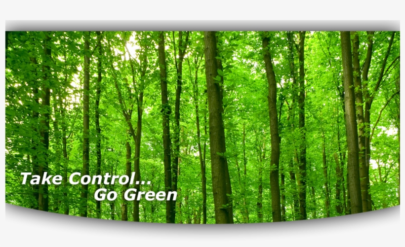 At American Pest Control, Inc, transparent png download