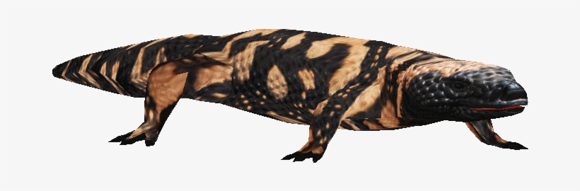 Salamander Png, transparent png download