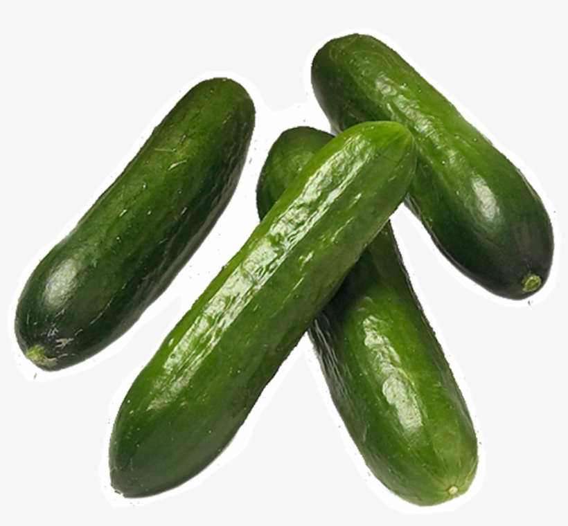 Zucchini Png, transparent png download