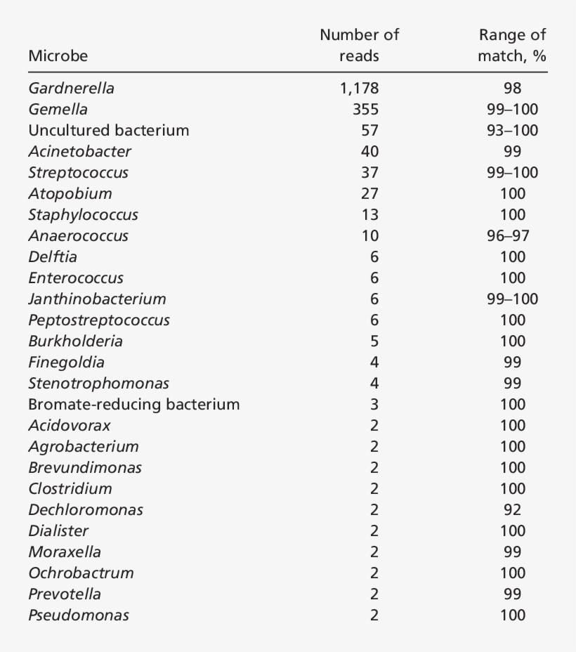 Summary Of Subject 10 Genbank Microbe Matches, transparent png download