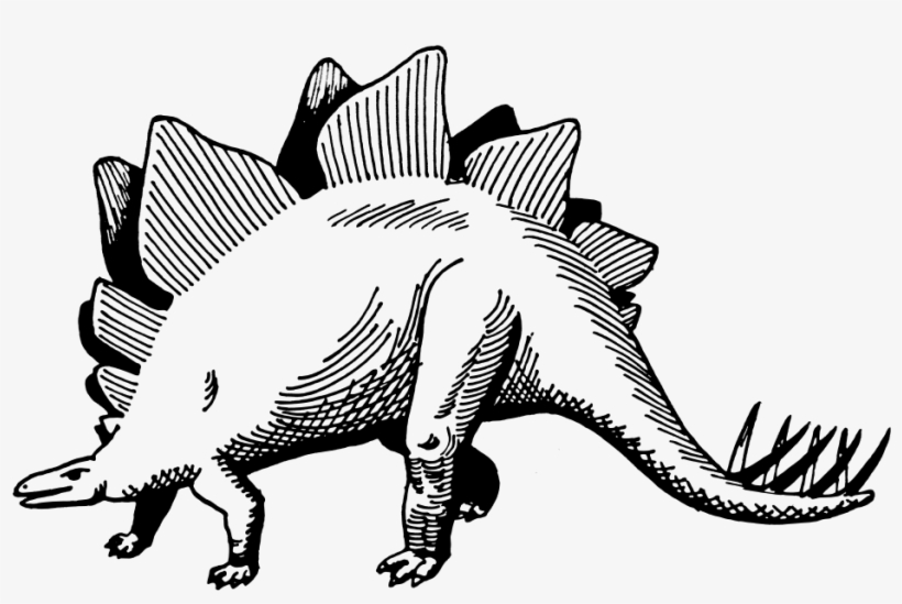 Stegosaurus Png, transparent png download