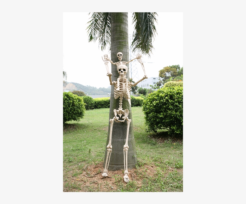 Happy Earth Day, transparent png download