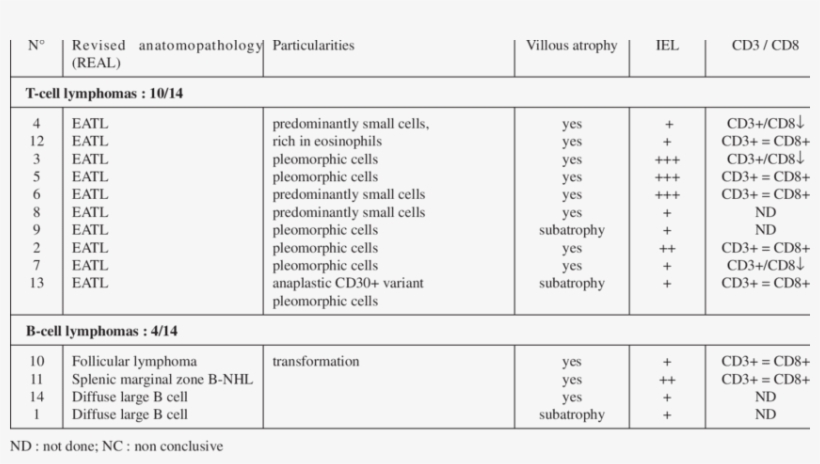 Pathological Characteristics Of Nhl, transparent png download