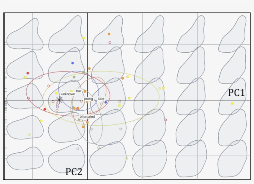 Biplot Of The Pca Performed On Stegosaurus Dorsal Plates, transparent png download