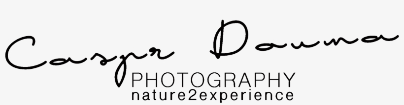 Nature2experience Nature2experience, transparent png download