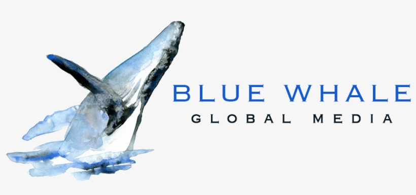 Offering A Combined 30 Years Of Experience Working, transparent png download