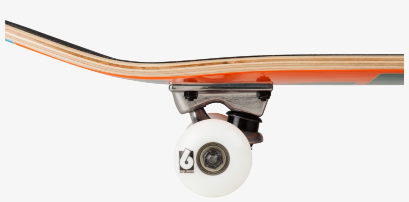 Birdhouse Beginner Grade Complete Skateboard Opacity, transparent png download