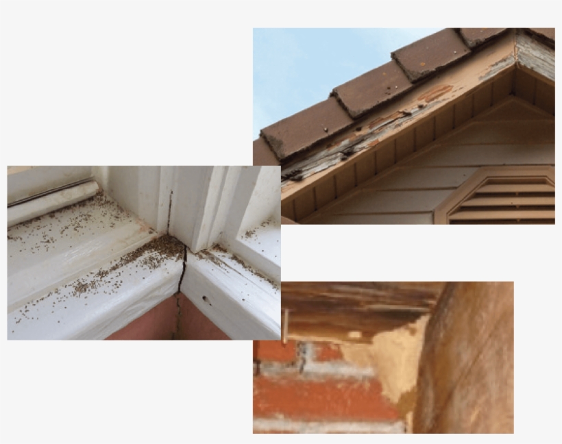 Image, transparent png download