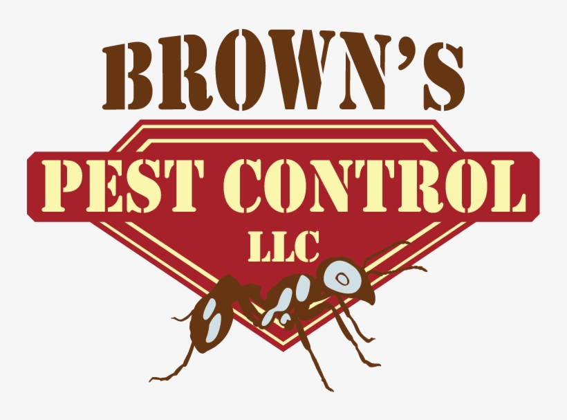 What Is The Best Way To Get Rid Of Roaches, transparent png download