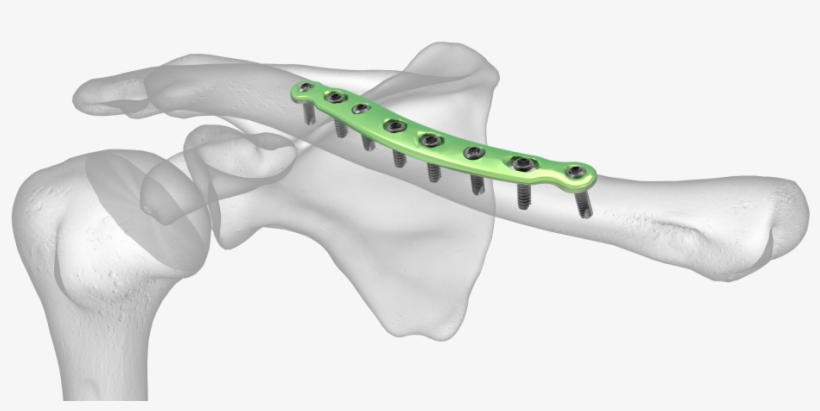 See All Images, transparent png download