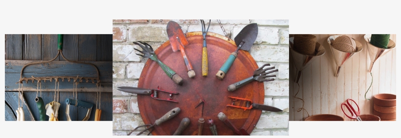 Gardening Tips, transparent png download
