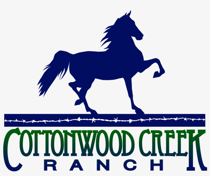 Horses For Sale, transparent png download