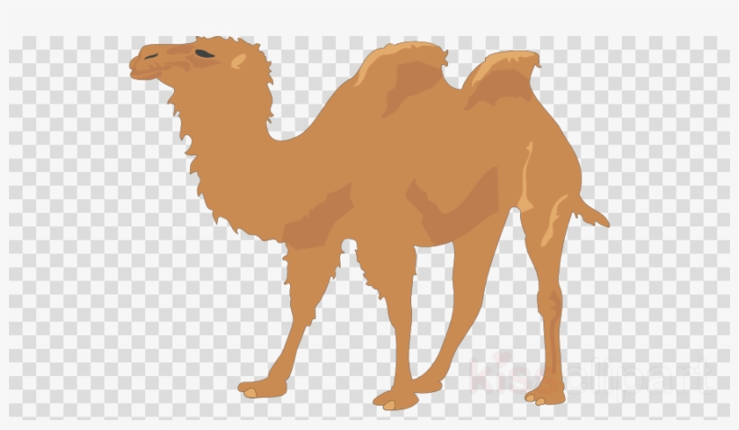 Green Balloons No Background Clipart Balloon Royalty-free, transparent png download