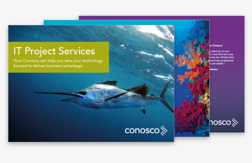 Conosco It Project Services Ebook, transparent png download