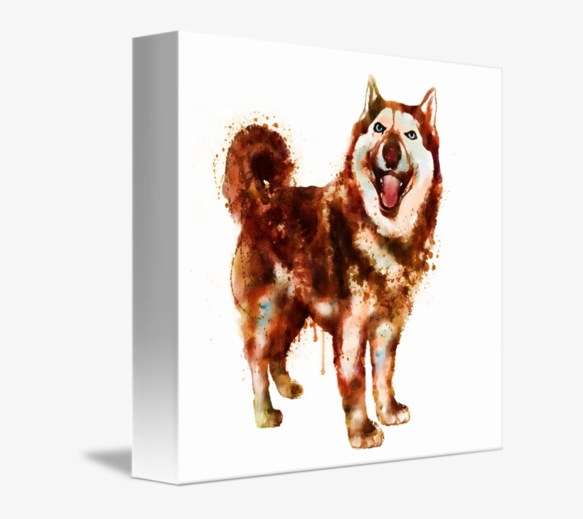 This Cute Brown Pet Melts Any Heart When You Look Into, transparent png download