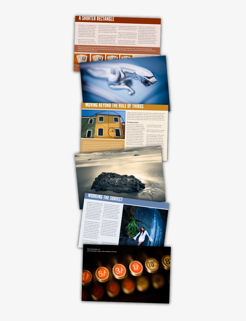 This, transparent png download