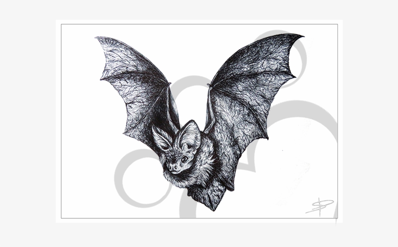 Bat Inkling, transparent png download