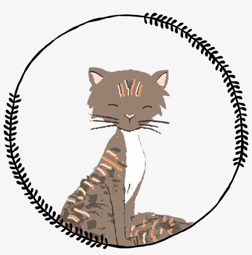 Kotche1, transparent png download