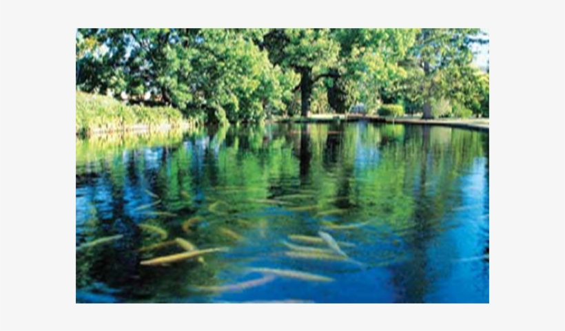 5d4n Gold Coast Village Roadshow Theme Parks, transparent png download